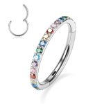 16G 6mm-12mm 316L Surgical Steel Piercing Jewelry Hinged Seamless Earrings Clicker Hoop Piercing Rings for Cartilage Helix Rook Septum Daith Tragus Lobe CZ/Opal/Shell/Turquoise 6 16G 6mm-12mm 316L Surgical Steel Piercing Jewelry Hinged Seamless Earrings Clicker Hoop Piercing Rings for Cartilage Helix Rook Septum Daith Tragus Lobe CZ/Opal/Shell/Turquoise