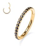 16G 6mm-12mm 316L Surgical Steel Piercing Jewelry Hinged Seamless Earrings Clicker Hoop Piercing Rings for Cartilage Helix Rook Septum Daith Tragus Lobe CZ/Opal/Shell/Turquoise 7 16G 6mm-12mm 316L Surgical Steel Piercing Jewelry Hinged Seamless Earrings Clicker Hoop Piercing Rings for Cartilage Helix Rook Septum Daith Tragus Lobe CZ/Opal/Shell/Turquoise