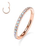 16G 6mm-12mm 316L Surgical Steel Piercing Jewelry Hinged Seamless Earrings Clicker Hoop Piercing Rings for Cartilage Helix Rook Septum Daith Tragus Lobe CZ/Opal/Shell/Turquoise 8 16G 6mm-12mm 316L Surgical Steel Piercing Jewelry Hinged Seamless Earrings Clicker Hoop Piercing Rings for Cartilage Helix Rook Septum Daith Tragus Lobe CZ/Opal/Shell/Turquoise