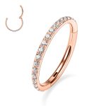 16G 6mm-12mm 316L Surgical Steel Piercing Jewelry Hinged Seamless Earrings Clicker Hoop Piercing Rings for Cartilage Helix Rook Septum Daith Tragus Lobe CZ/Opal/Shell/Turquoise 9 16G 6mm-12mm 316L Surgical Steel Piercing Jewelry Hinged Seamless Earrings Clicker Hoop Piercing Rings for Cartilage Helix Rook Septum Daith Tragus Lobe CZ/Opal/Shell/Turquoise
