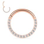 16G 18G 316L Stainless Steel CZ/Opal Septum Piercing Clicker Ring Hinged Nose Rings Hoop 7 16G 18G 316L Stainless Steel CZ/Opal Septum Piercing Clicker Ring Hinged Nose Rings Hoop