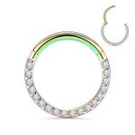16G 18G 316L Stainless Steel CZ/Opal Septum Piercing Clicker Ring Hinged Nose Rings Hoop 9 16G 18G 316L Stainless Steel CZ/Opal Septum Piercing Clicker Ring Hinged Nose Rings Hoop