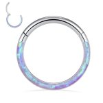 16G 18G 316L Stainless Steel CZ/Opal Septum Piercing Clicker Ring Hinged Nose Rings Hoop 6 16G 18G 316L Stainless Steel CZ/Opal Septum Piercing Clicker Ring Hinged Nose Rings Hoop
