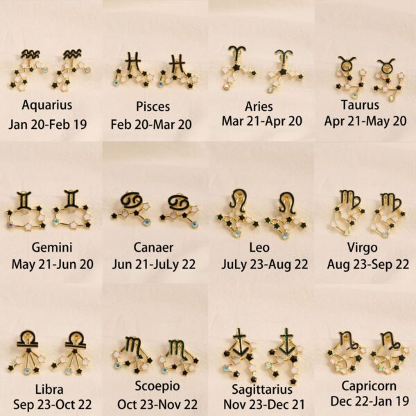 12 Constellation Zodiac Sign Stud Earrings Star Astrology Horoscope Wish Card for Women Birthday Anniversary Friendship Jewelry