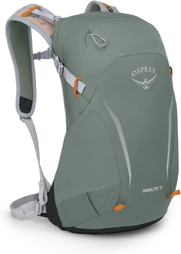 Osprey Hikelite 18L Lightweight Hiking Backpack - Durable Travel Daypack with Rain Cover for Men and Women, Pine Leaf Green